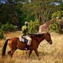 A park ranger riding a horse near a giraffe