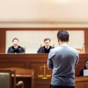 testify (【Verb】to give evidence as a witness in court ) Meaning Usage