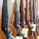 gun (【名詞】) 意思、用法及發音 | Engoo Words