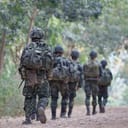 survival (【Noun】the state or fact of continuing to live, typically