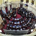 Argentinian senators vote on a bill