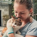 Close-up of female volunteer holds on hands cat in shelter. Shelter for animals concept