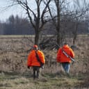 Two deer hunters in orange jackets with guns on their backs walking away