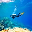 A person scuba diving