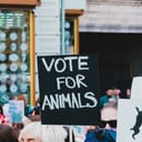 A protester holding a banner saying 'Vote for Animals'