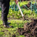 Gardener working in the vegetable garden. Autumn gardening, organic farming concept.
