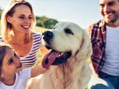 Family dog being pet by members of a family