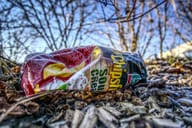 Empty bag of chips lying on the ground