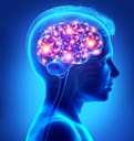 Artistic depiction of neuron activation in human brain