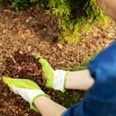 A person wearing gardening gloves holding wood chips
