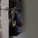 instigate (【Verb】to begin or cause an action or event ) Meaning, Usage ...