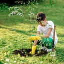 Young boy plants tree