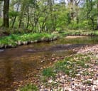 川 (【Noun】river ) Meaning, Usage, and Readings | Engoo Words