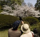 same (【形容詞】同じ ) の意味・使い方・読み方｜Engoo Words