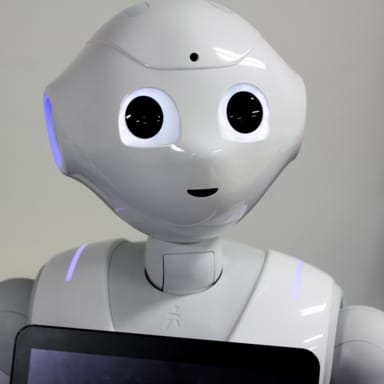 humanoid in a sentence
