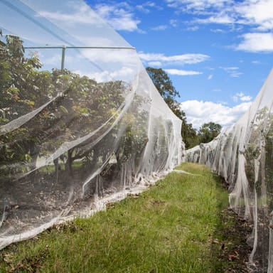 Mesh 名詞 網目 メッシュ 網 の意味 使い方 読み方 Dmm英会話words