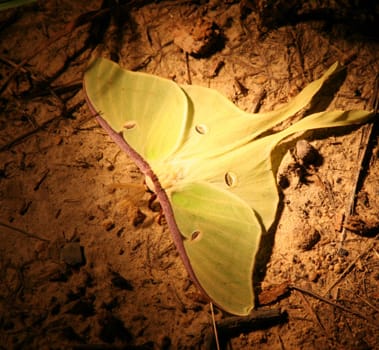 New Movie Shows an Unseen Underwater World | DMM英会話 デイリー