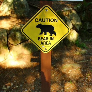 Vigilance Examples Vigilance Examples