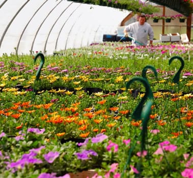 Greenhouse 名詞 溫室 意思 用法及發音 Engoo Words Greenhouse 名詞 溫室 意思 用法及發音 Engoo Words