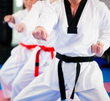 taekwondo isim anlami kullanim ve