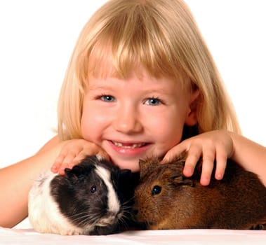 Guinea Pig 名詞 天竺鼠 意思 用法及發音 Engoo Words Guinea Pig 名詞 天竺鼠 意思 用法及發音 Engoo Words