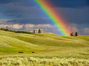 A vivid rainbow in a green meadow