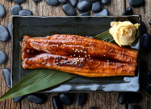 Grilled eel served on a plate.