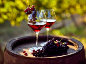 A bottle and glass of red wine on a kitchen counter