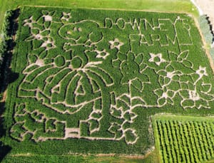 This July 19, 2024 image released by Downey's Farm in Caledon, Ontario shows a corn maze honoring the 75th anniversary of the Peanuts comic strip.