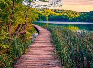 Your Prescription Is to Get Outside, US Doctors Say