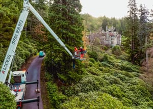 How to Decorate the World's Tallest Christmas Tree | Engoo デイリーニュース