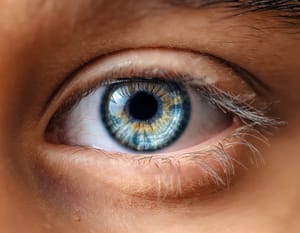 A closeup of a person's blue eye