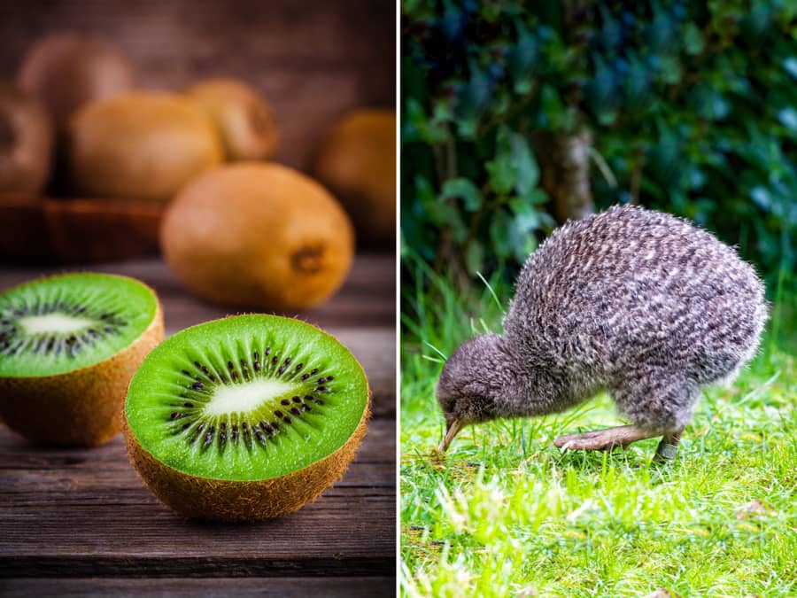 Most Of The World's Kiwi Come From This Country