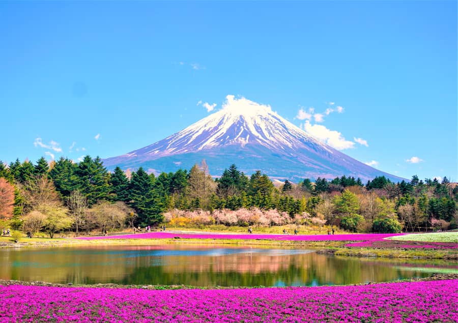 Mount Fuji eraser slowly reveals mountain the more mistakes you make -  Japan Today