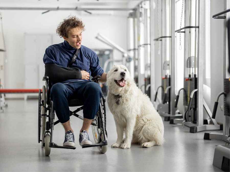 Pet therapy discount for anxiety