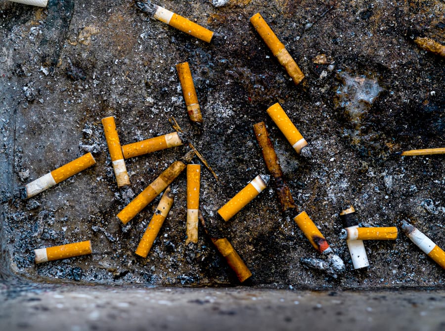 do cigarettes decompose Cigarette Litter Doesn't Fully Biodegrade — Study