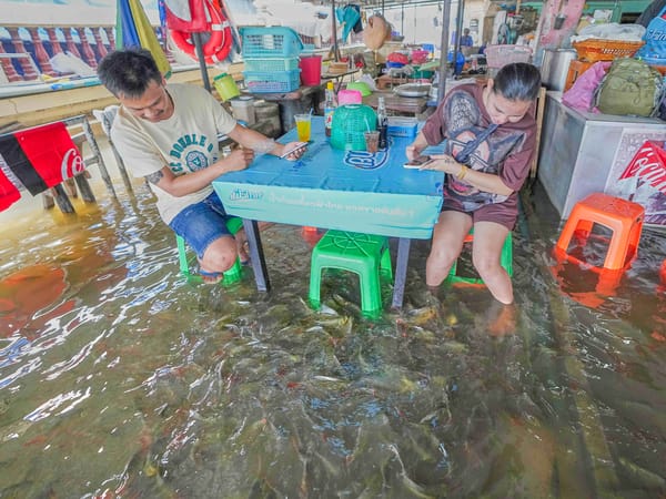 Flooded Restaurant Becomes Viral Sensation