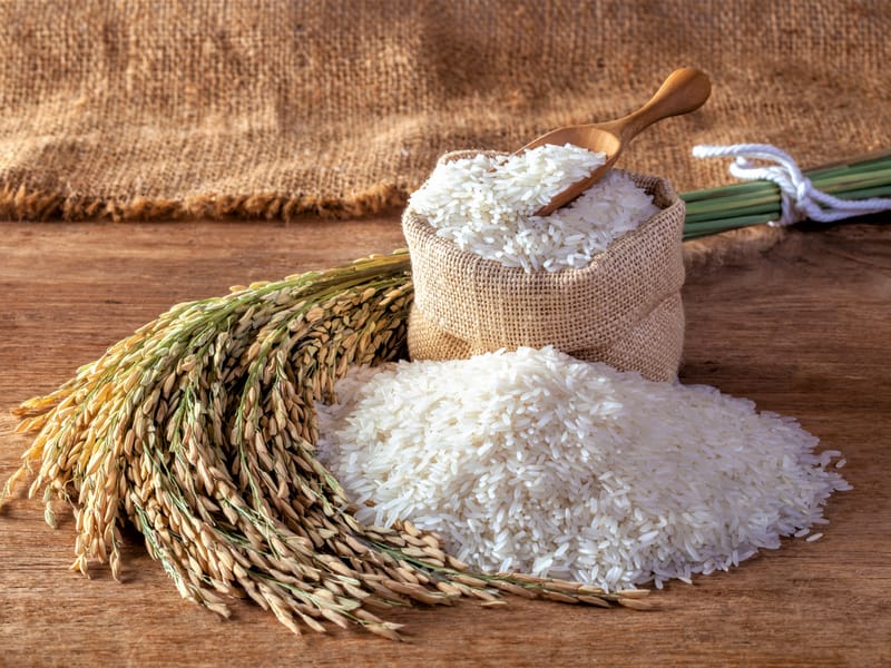 Scientists Create Rice That May Fight High Blood Pressure Engoo Global Daily News