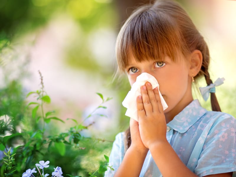 I Have Allergies | Engoo