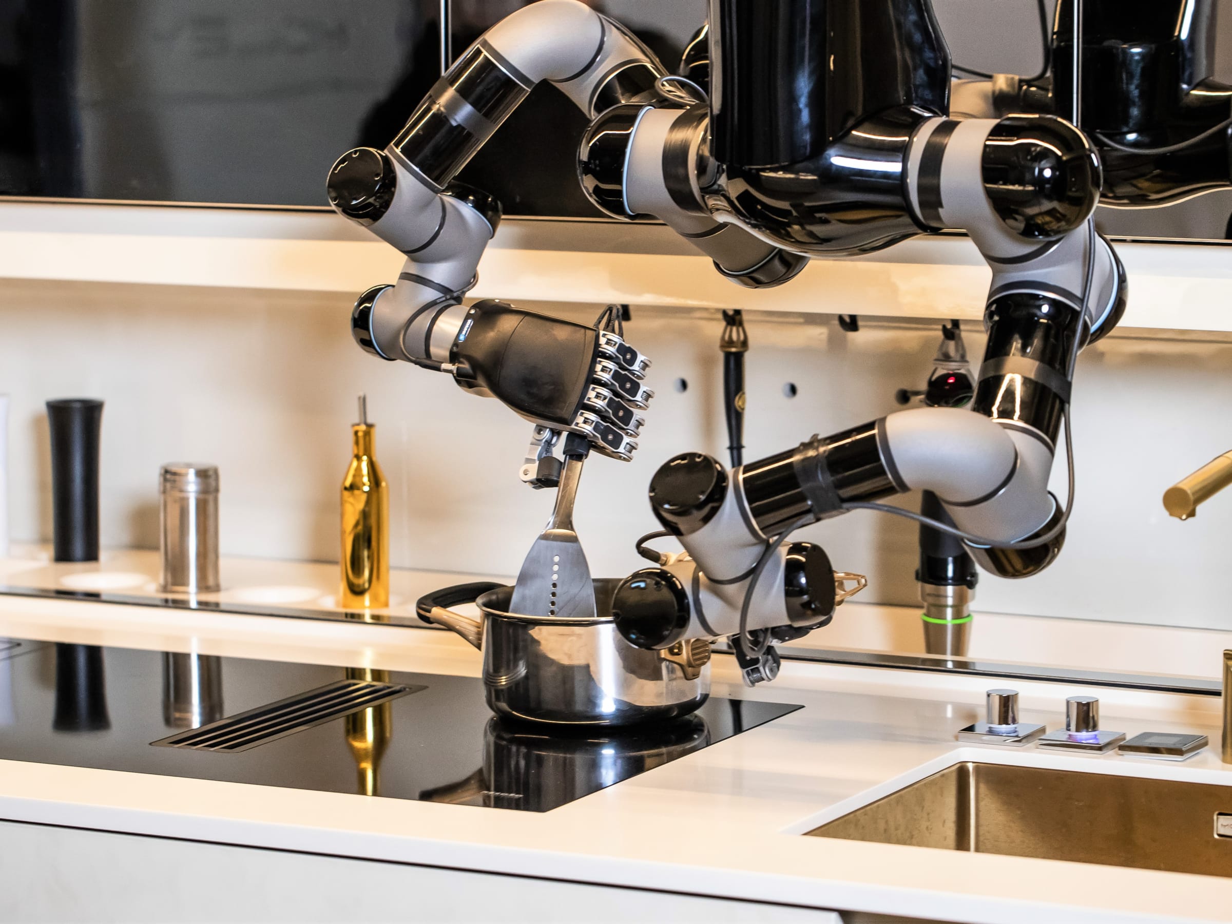 moley robot chef price