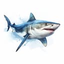 Digital illustration of a white shark on a light blue backdrop