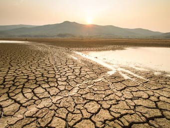 The drying lake illustrates the effects of extreme weather and heat waves in summer, highlighting the impacts of climate change and drought.