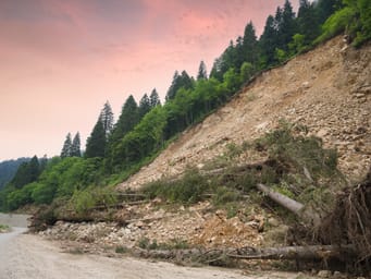 A landslide on a mountain road, with rocks and trees blocking the way due to a slope slide.