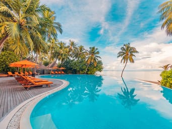 Stunning landscape, swimming pool blue sky with clouds. Tropical resort hotel in Maldives. Fantastic relax and peaceful vibes, chairs, loungers under umbrella and palm leaves. Luxury travel vacation