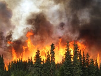 An up-close view of Alaska wildfires, with intense flames and smoke engulfing the forest, capturing the raw and personal impact of the blaze.