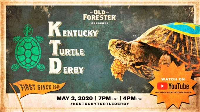 Turtle Racing Replaces May Kentucky Derby | ข่าวประจำวัน Engoo