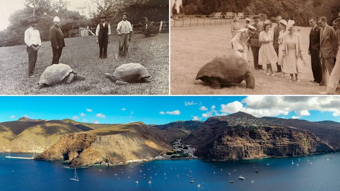 Meet Jonathan: The World's Oldest Land Animal | ข่าวประจำวัน Engoo