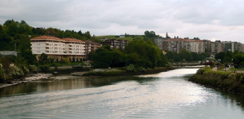 A view of the Pheasant Island from the side.