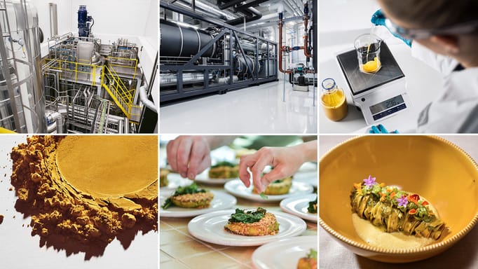 A collage showing a production and food made using Solein powder