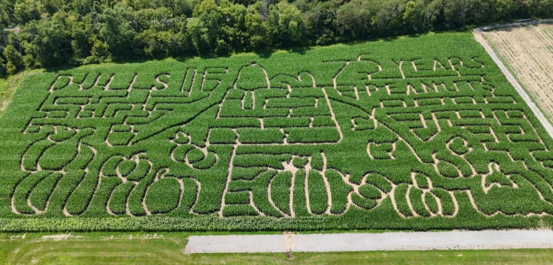This July 17, 2024 image released by Dull's Tree Farm and Pumpkin Harvest shows a corn maze honoring the 75th anniversary of the Peanuts comic strip in Thorntown, Ind. 